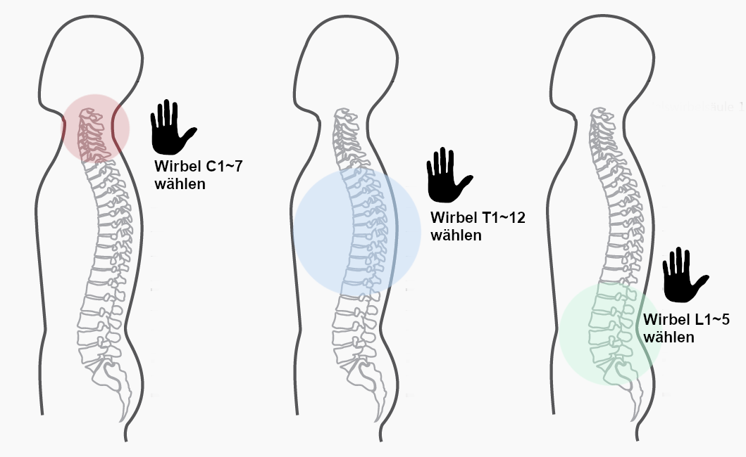 Grafik zum manuellen Master Programm der CERAGEM Master V4 Liege. Die farbigen Kreise zeigen an, dass der ganze Rücken massiert werden kann. Das Handsymbol zeigt an, dass das Programm von Hand eingestellt werden muss. Die Beschriftung erklärt, dass die Wirbelnummern per Eingabe angesteuert werden können.