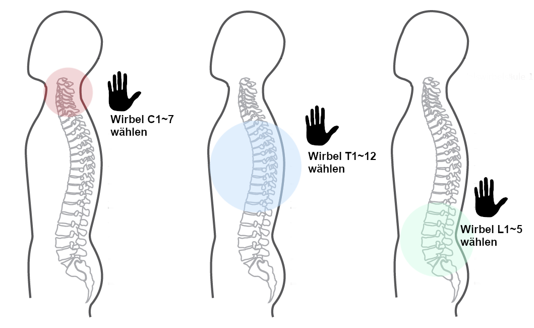 Grafik zum halbautomatischen Master Programm der CERAGEM Master V4 Liege. Die farbigen Kreise zeigen an, dass der ganze Rücken massiert werden kann. Das Handsymbol zeigt an, dass das Programm von Hand eingestellt werden muss. Die Beschriftung erklärt, dass die Wirbelnummern per Eingabe angesteuert werden können.